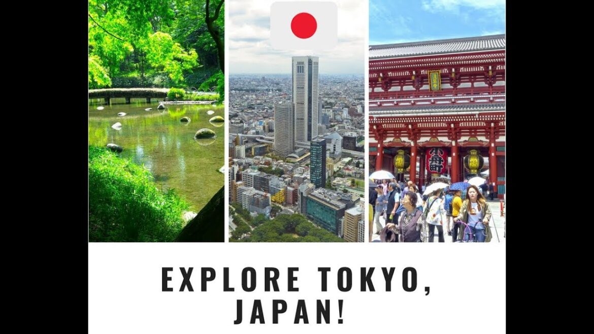 TRAVEL & EXPLORE TOKYO JAPAN!