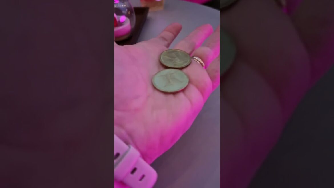 Unbelievable Bar Idea Transforming Hotel Guests' Experiences | #shorts