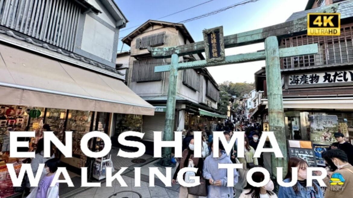 [4K] ENOSHIMA 💛 Street Food Walking Tour / 江の島 食べ歩き 散歩