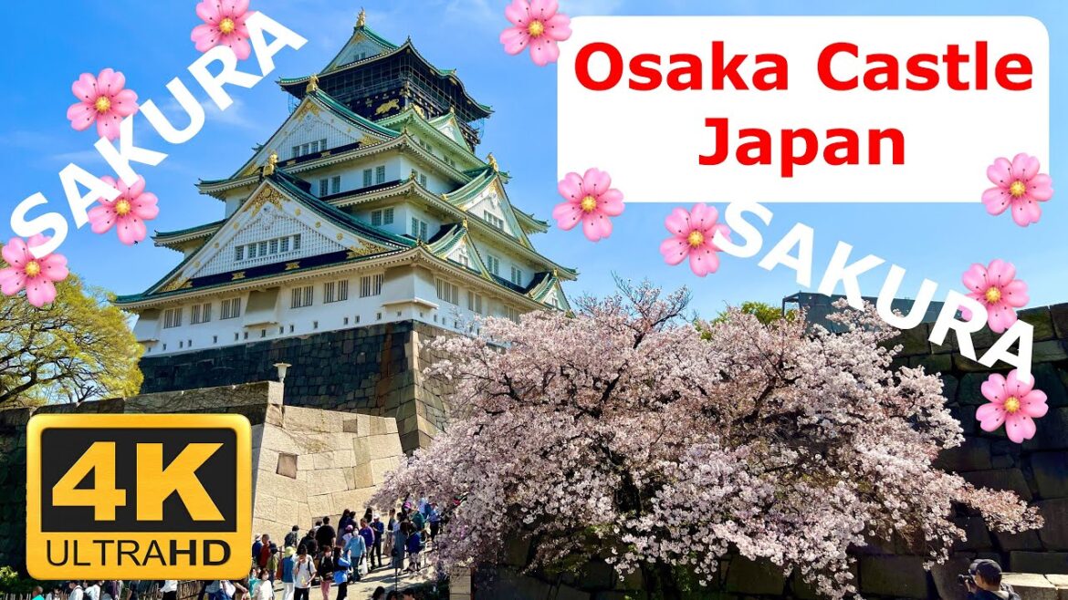 Walk Osaka Castle Japan Sakura 30min (2023) Walk Osaka Castle Japan Sakura 30min (2023)