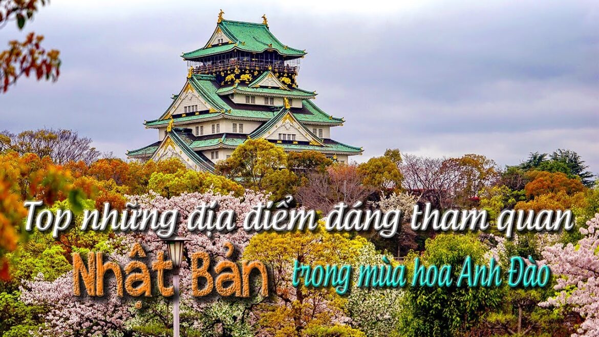 Top địa điểm tham quan đẹp nhất Nhật Bản trong mùa hoa Anh Đào | Top must-visit places in Japan
