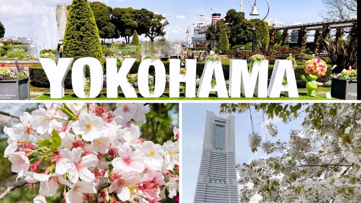 【ソロ活】桜お花見、ガンダム、中華、かき氷、全部まるっと満喫してきた! ガーデンネックレス横浜→山下公園→中華街→かもめ氷菓店→万国橋→新港中央広場→ハンマーヘッド→バニラビーンズ→汽車道→さくら通り 【ソロ活】桜お花見、ガンダム、中華、かき氷、全部まるっと満喫してきた! ガーデンネックレス横浜→山下公園→中華街→かもめ氷菓店→万国橋→新港中央広場→ハンマーヘッド→バニラビーンズ→汽車道→さくら通り