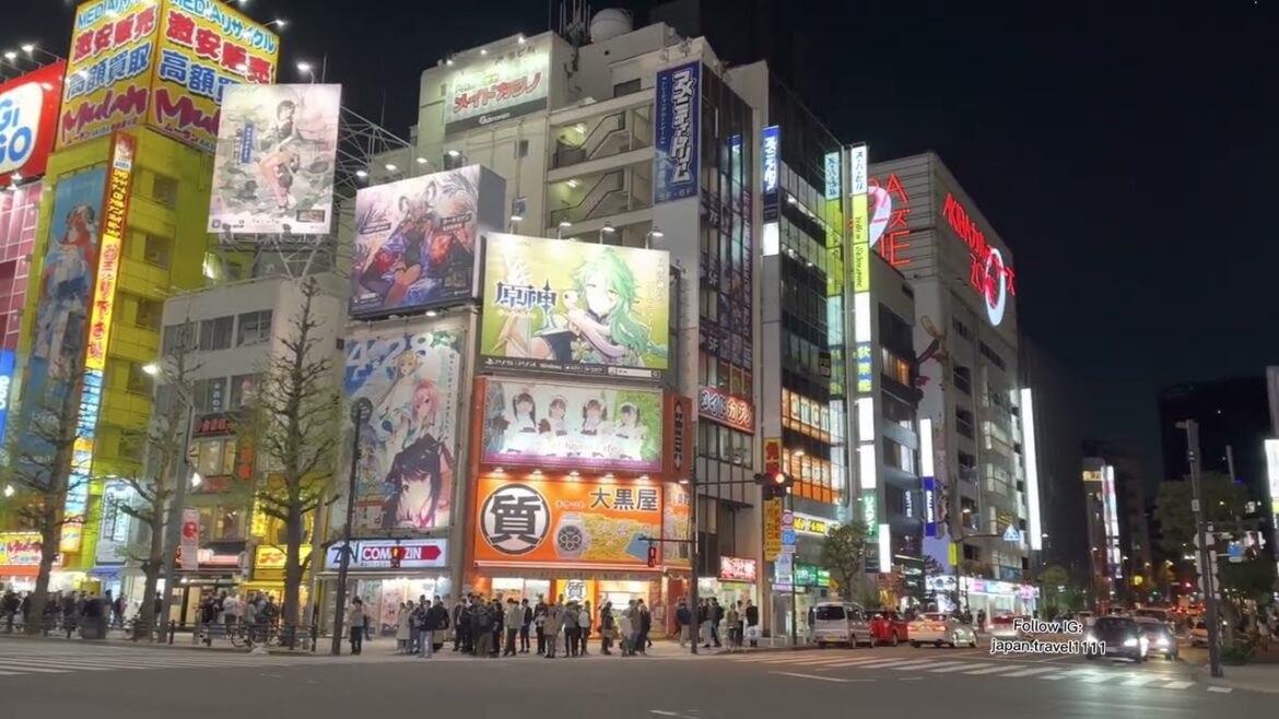 AKIBAHARA, Tokyo Night Scenery // 東京散歩  – Japan Walking Tour #4k #japan #walk #travel AKIBAHARA, Tokyo Night Scenery // 東京散歩  - Japan Walking Tour #4k #japan #walk #travel