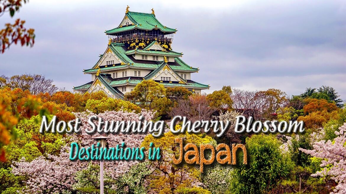 Discover the Top Must-See Cherry Blossom Destinations in Japan for a Stunning Experience