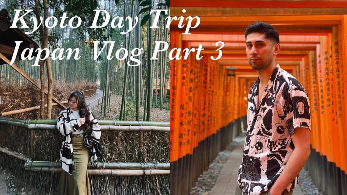 Kyoto Day trip Japan Vlog part 3
