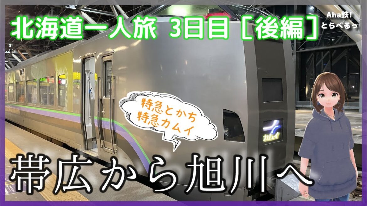 【鉄道vlog】［ナレーション付］　帯広から「特急とかち」で札幌経由、旭川まで大移動　ひたすら車窓を眺める旅「Peachひがし北海道フリーパス」で北海道一人旅！（3日目）［後編］　2022年11月