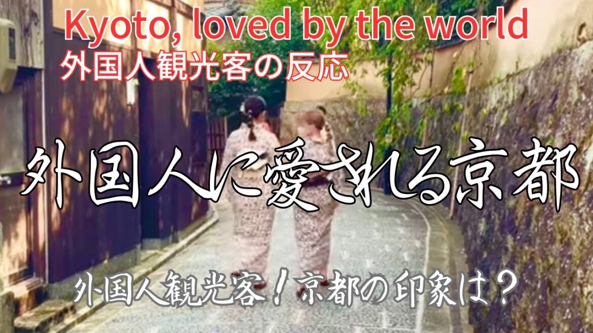 外国人観光客で賑わう京都！東寺•東本願寺を散策『Kyoto trip』