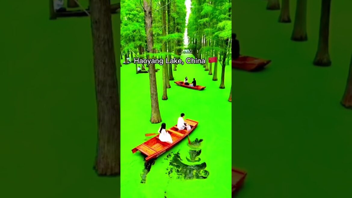 Places that don’t feel real…🤩🤤 #travel #sorts #viral  #tiktok