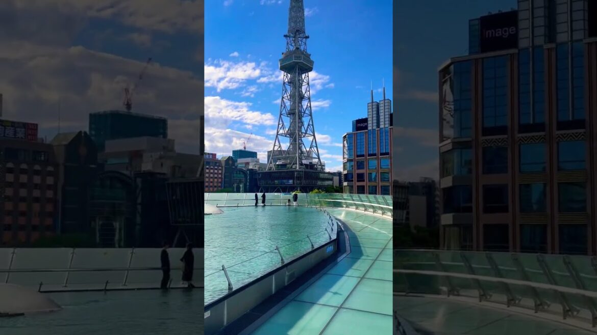 مصرى فى اليابان 🇯🇵🇯🇵🇯🇵#اليابان #japan #hokkaido #travel