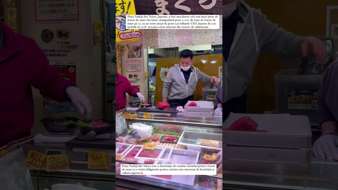 Tsukiji Market Tour: Discovering the Heart of Tokyo's Seafood Scene