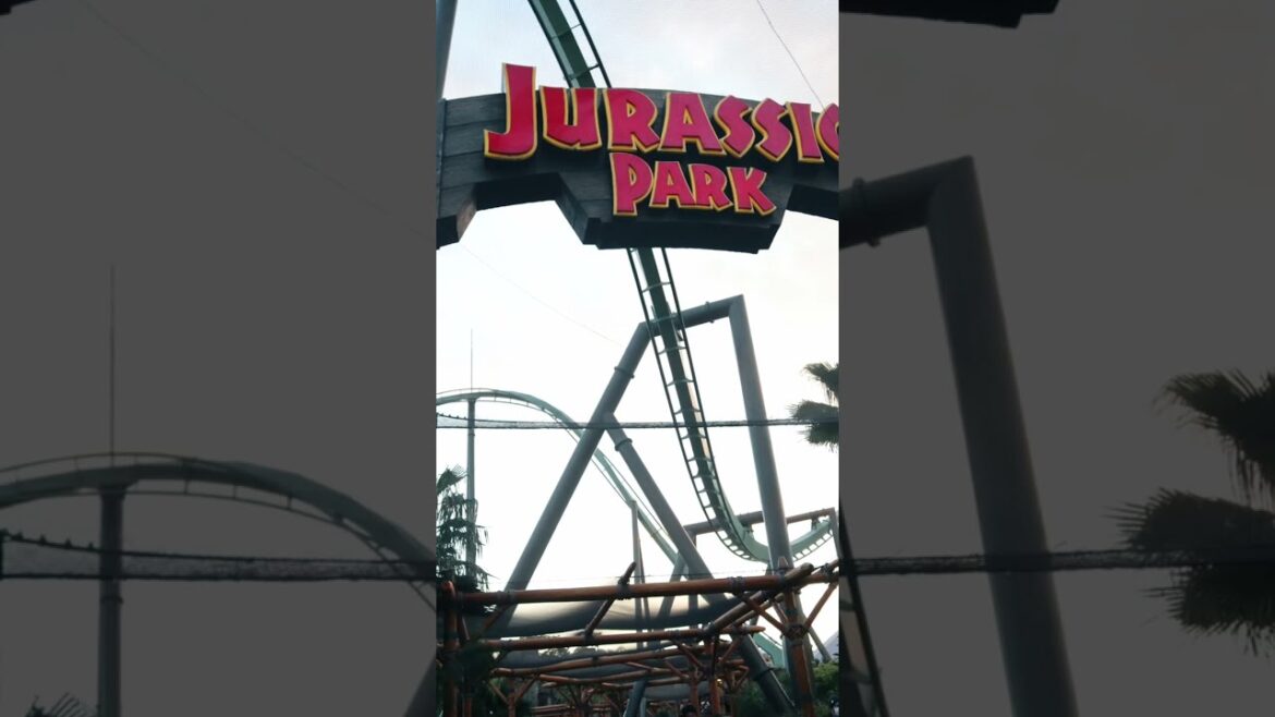 Japan trip December 2022 🎈