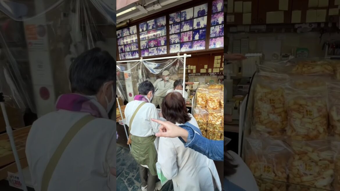 GOT BUDDHA? Nara, Japan #shorts GOT BUDDHA? Nara, Japan #shorts