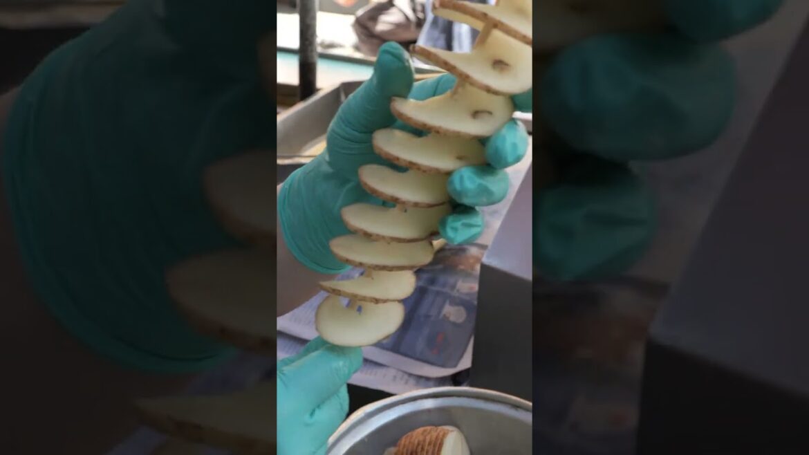 Tornado Potato - Korean street food