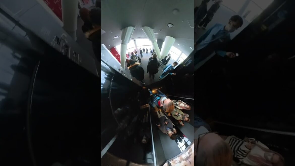 Tokyo Skytree Revealed:  Breathraking Views from Japan's Tallest Tower! #shorts
