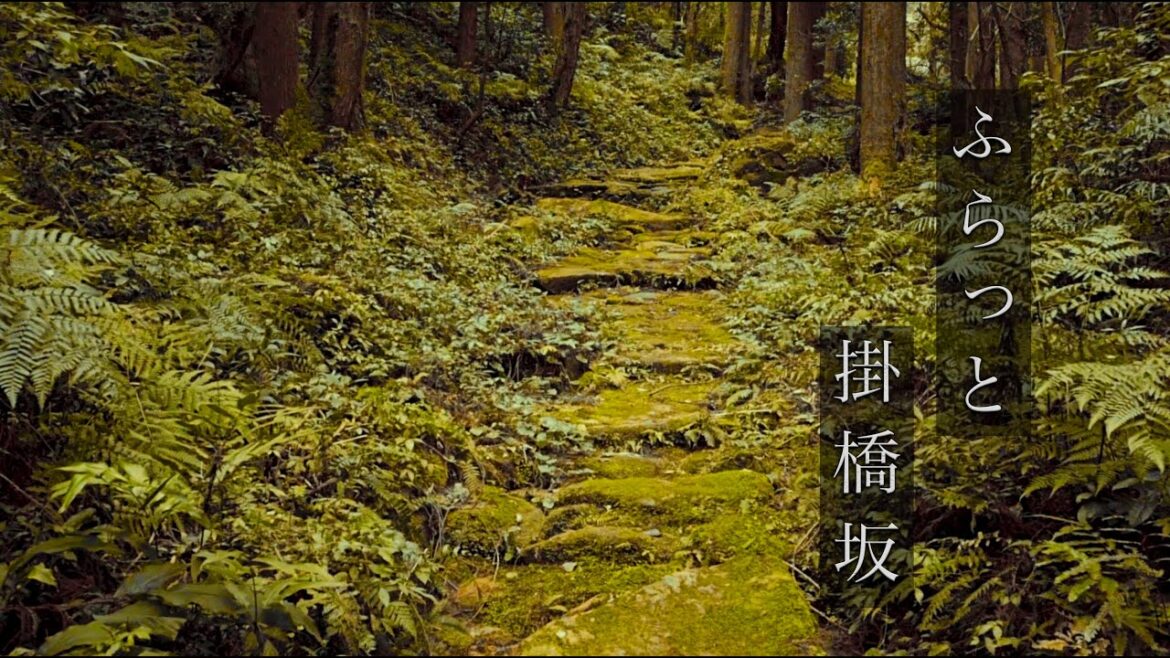 掛橋坂 (鹿児島県)/Kakehashi Hill (Kaogoshima,Japan)