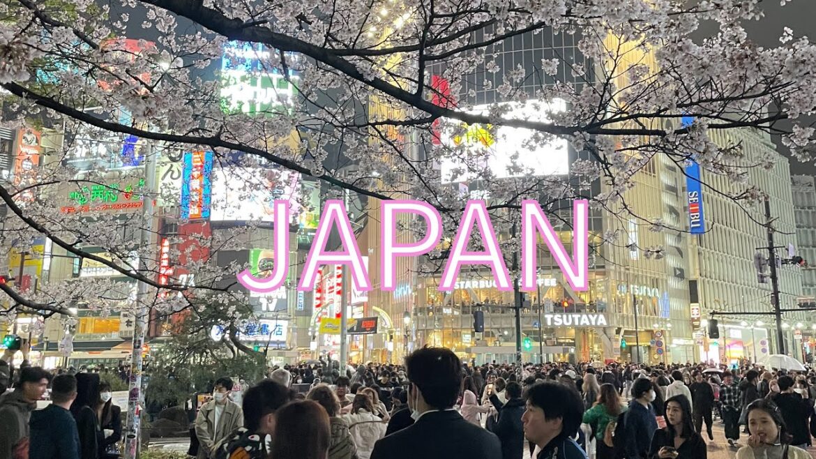 Ultimate Japan Adventure: Discovering the Best of Tokyo and Kyoto | Japan Travel Vlog