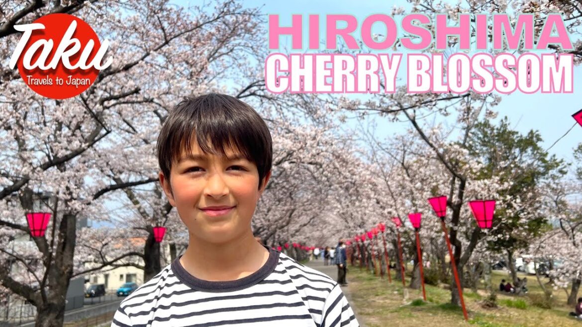 Sakura in Hiroshima, Japan | Beautiful Cherry Blossom near YouMe Town in Hatsukaichi Sakura in Hiroshima, Japan | Beautiful Cherry Blossom near YouMe Town in Hatsukaichi