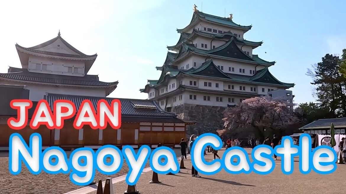 일본 나고야성 걸어보기 천수각이 23년 6월까지 공사중이라 보지 못하고 왔다