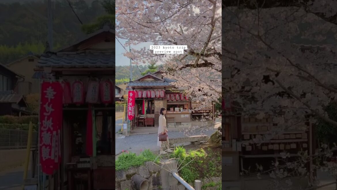kyoto trip 2023 미리보기영상
