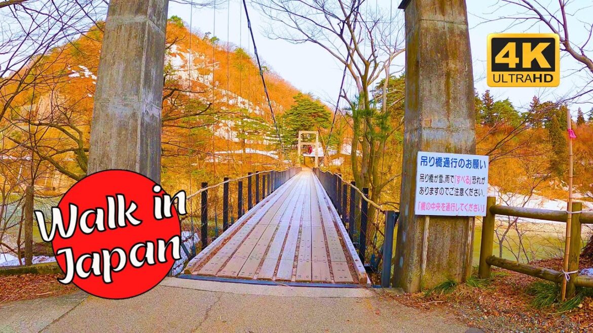 Pedestrian Suspension Bridge over a Wild River (4K 60 FPS)