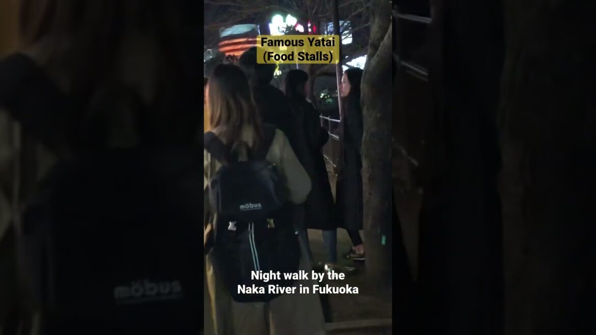 Fukuoka night walk. Yatai, food stalls
