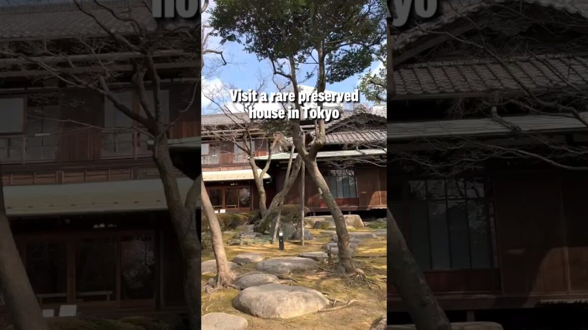 Cheap things to do in Tokyo #travel #tokyo #shorts #budgettravel