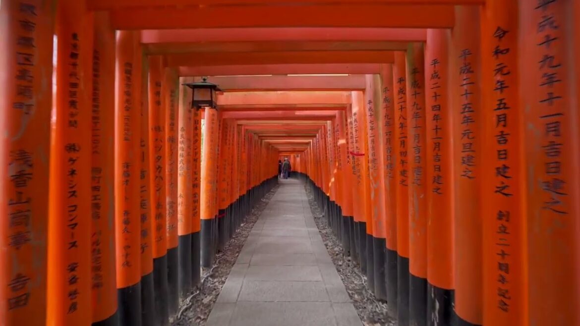 Japan Travel | Fushimi Inari Taisha | Kyoto | Relaxing Music | Scenic