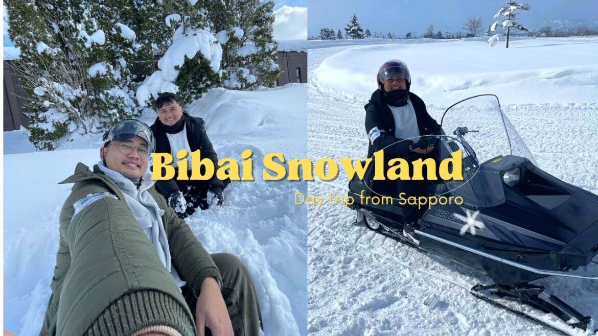 Bibai Snowland: A Winter Wonderland Day Trip from Sapporo