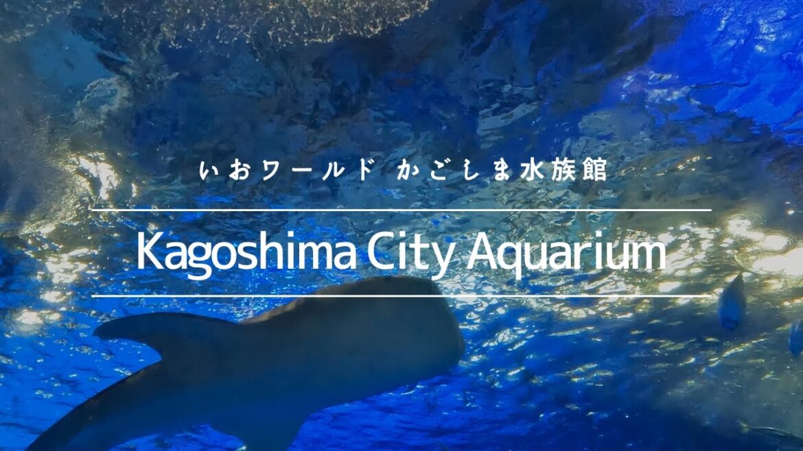 いおワールドかごしま水族館【Rolling Strolling Kagoshima】