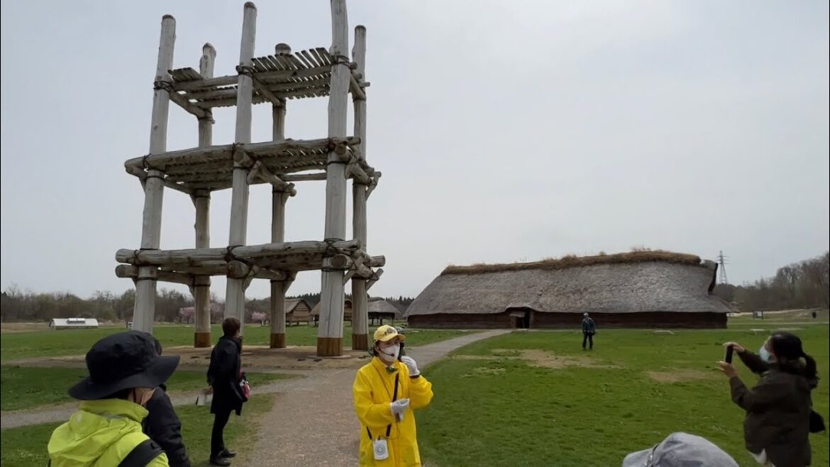 【ライブ】青森  三内丸山遺跡を見てまわろう 2023/04/15