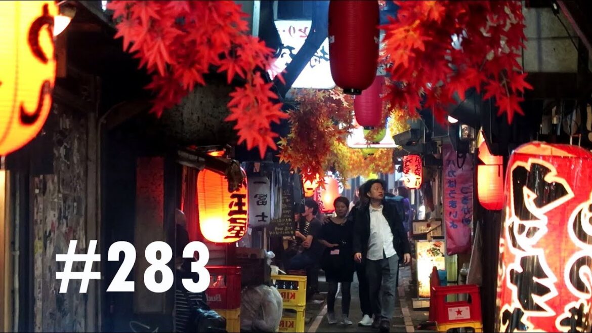VLOG #283 I LOVE TOKYO! (ASAKUSA,SUGAMO,SHINJUKU ET SHIBUYA)