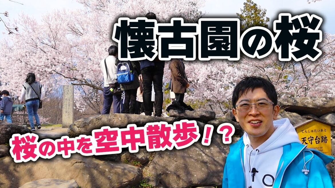 【軽井沢から車で40分！】懐古園の桜ってこんなにすごかったんだ！たくさんの人が集まる理由がわかりました。