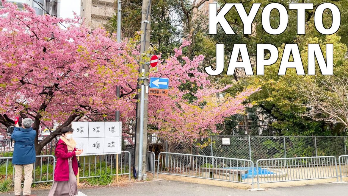【4K】Around Kyoto Imperial Palace Walking Tour | JAPAN 【4K】Around Kyoto Imperial Palace Walking Tour | JAPAN