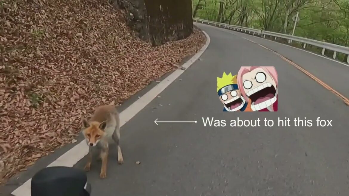 Cycling from Nagano to Tokyo (233km) Cycling from Nagano to Tokyo (233km)