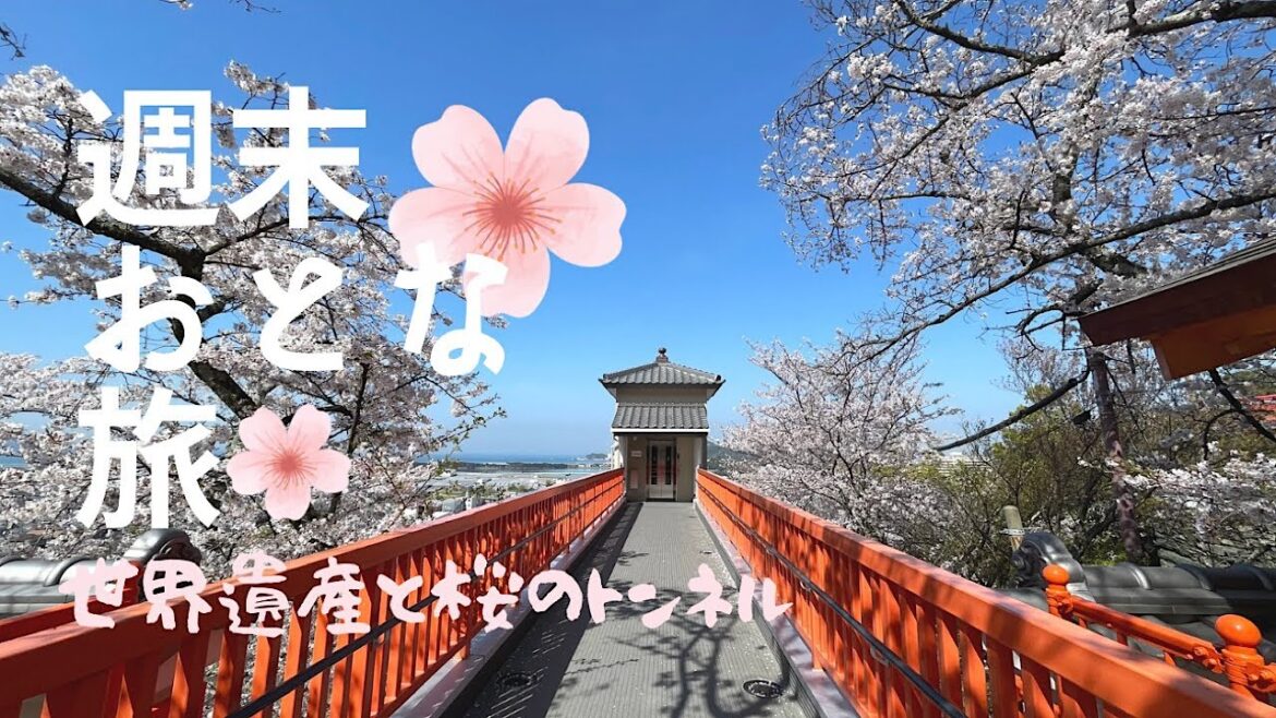 和歌山【紀州/紀の國オトナ旅】桜の絶景と世界遺産/絶対に行ってほしい桜の名所/わかやま電鐵/神社仏閣/御朱印/Wakayama/Japan 和歌山【紀州/紀の國オトナ旅】桜の絶景と世界遺産/絶対に行ってほしい桜の名所/わかやま電鐵/神社仏閣/御朱印/Wakayama/Japan