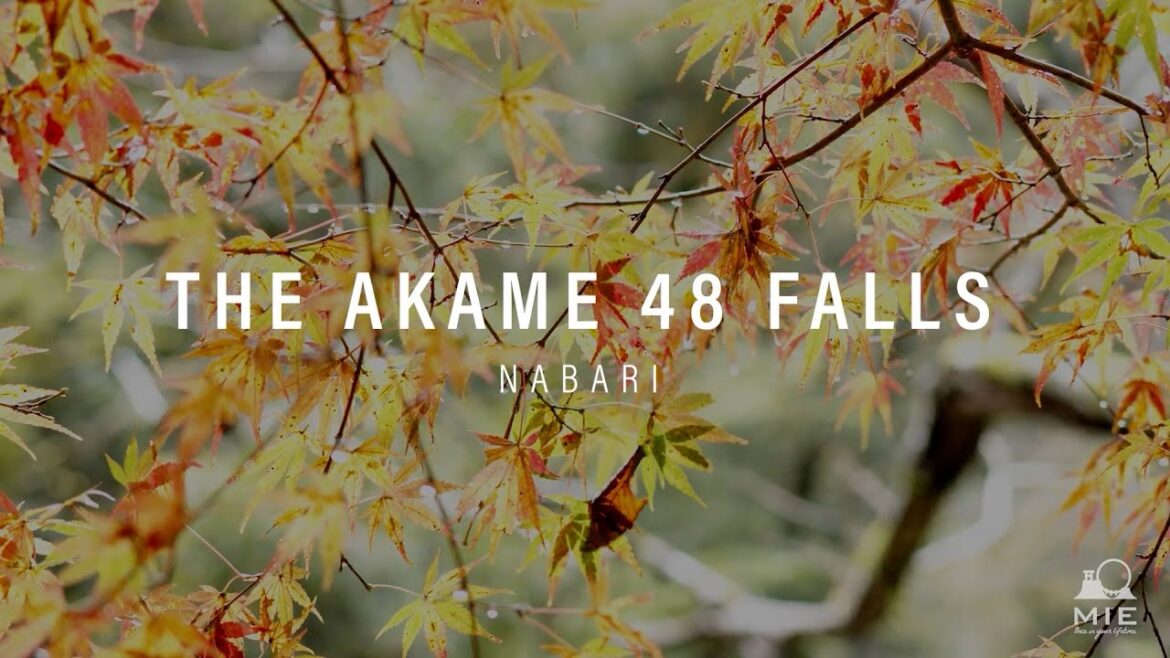 The Akame 48 falls - NABARI