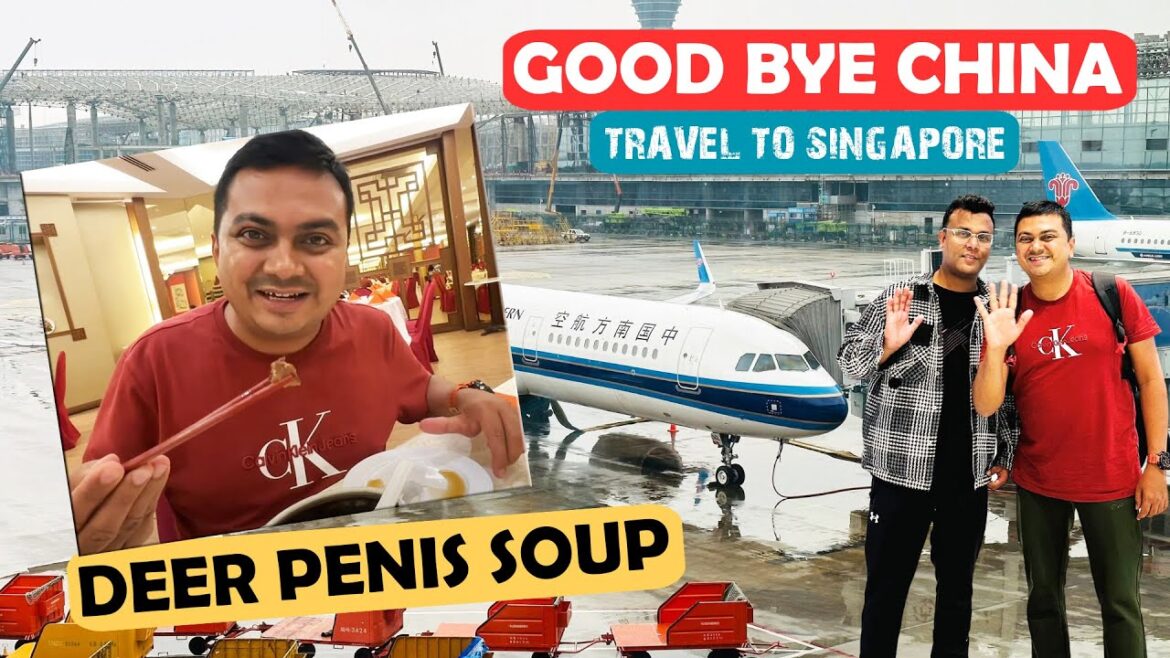 Goodbye China | Welcome Singapore & Trying Some Exotic Food Goodbye China | Welcome Singapore & Trying Some Exotic Food