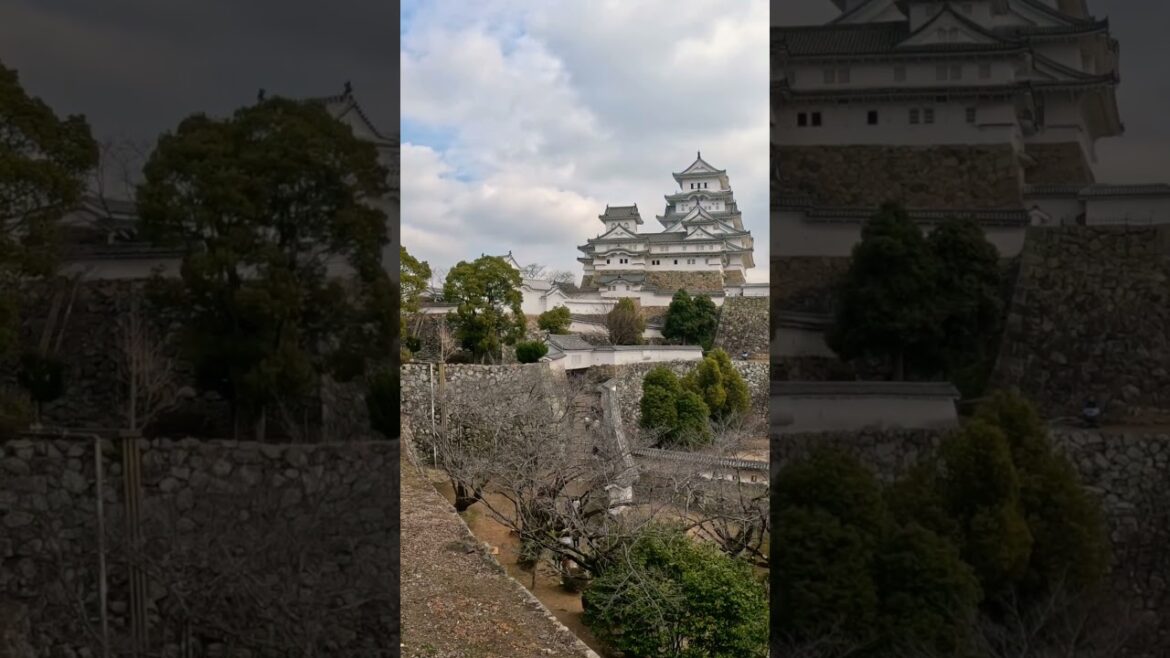 Everything you Wanted to Know About Touring Himeji Castle in Japan