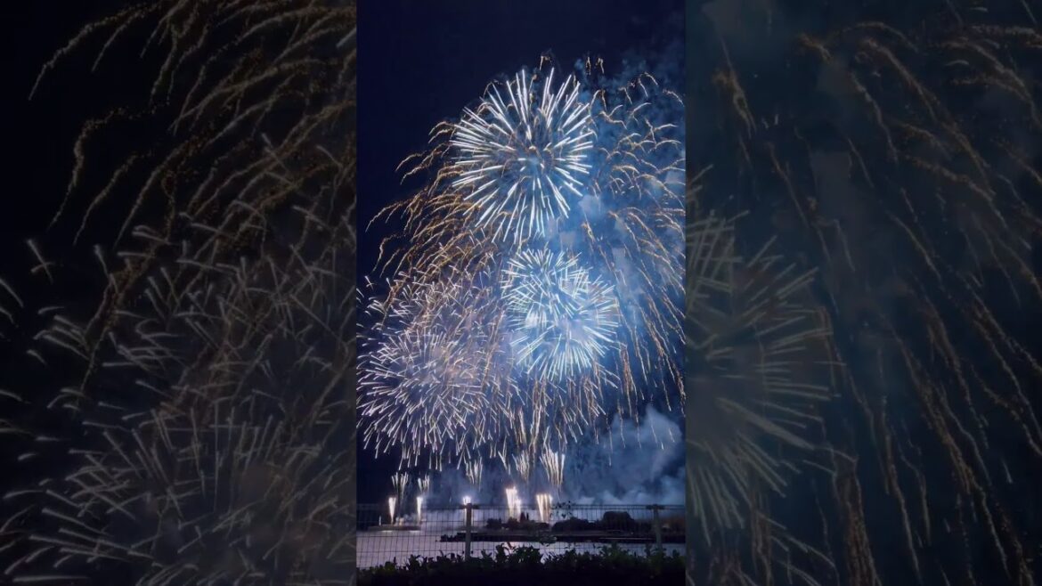 【熱海】Atami Firework Festival / 熱海の海上花火大会 #shorts 【熱海】Atami Firework Festival / 熱海の海上花火大会 #shorts