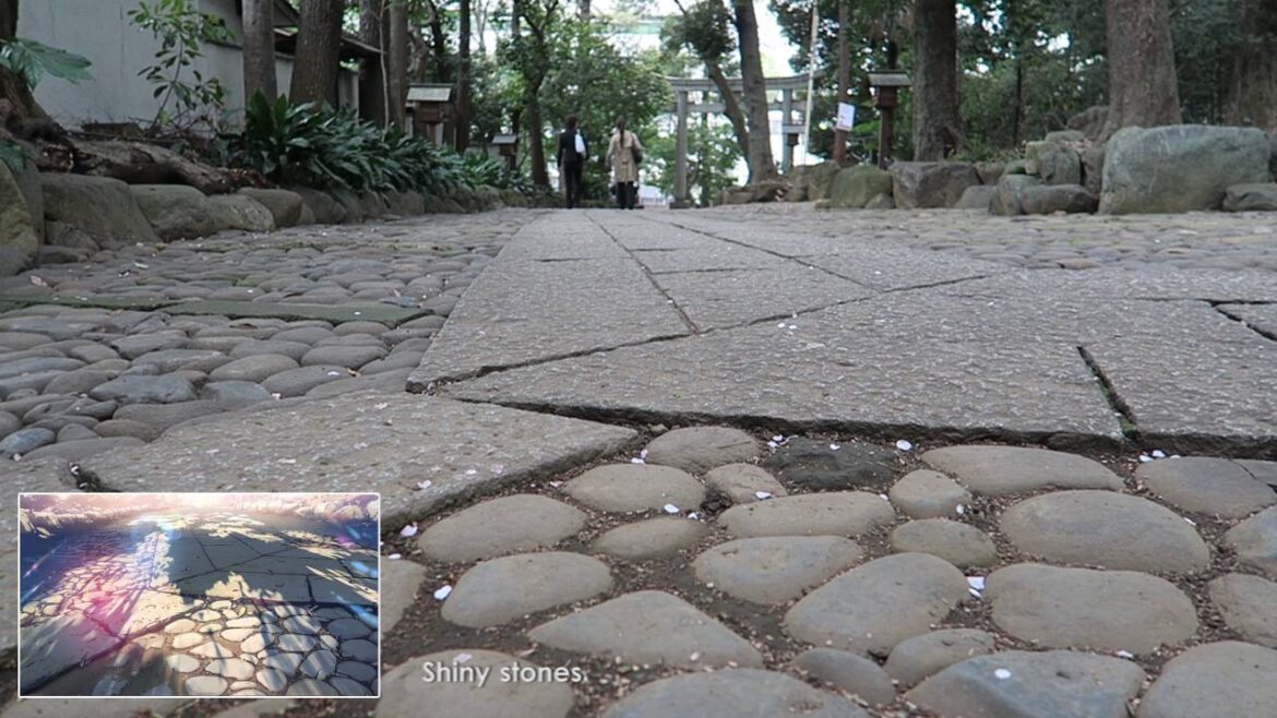 5 Centimetres Per Second Location Hunt – Harajuku, Yoyogi, Shinjuku 5 Centimetres Per Second Location Hunt - Harajuku, Yoyogi, Shinjuku