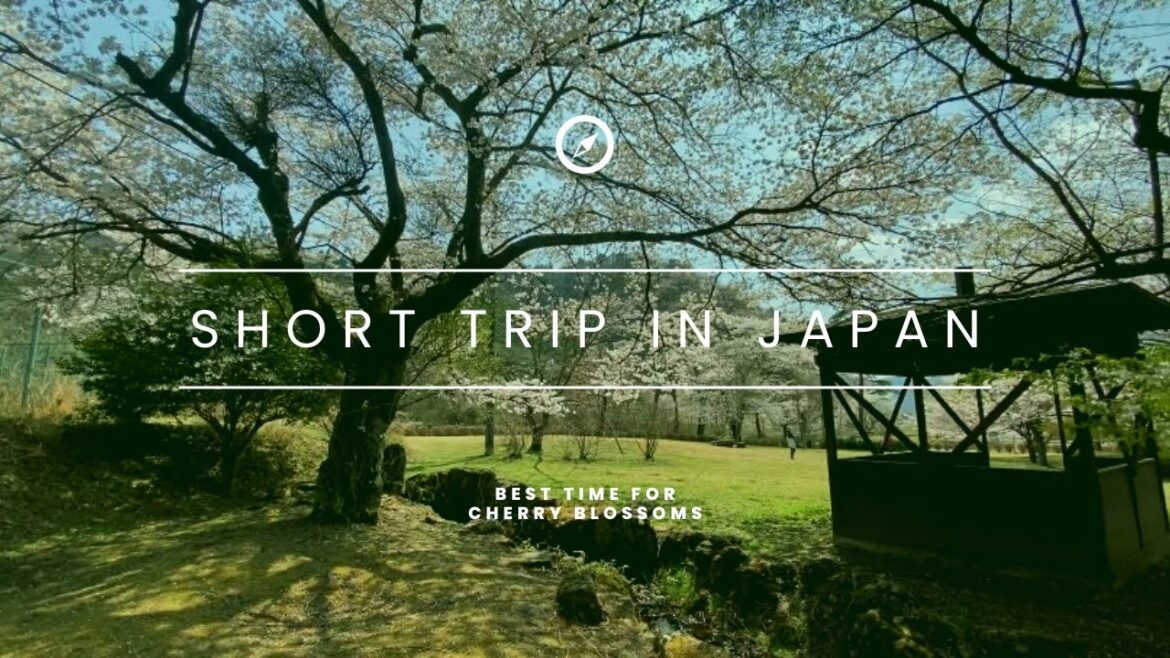 Japanese countryside--short trip in the season of cherry blossoms