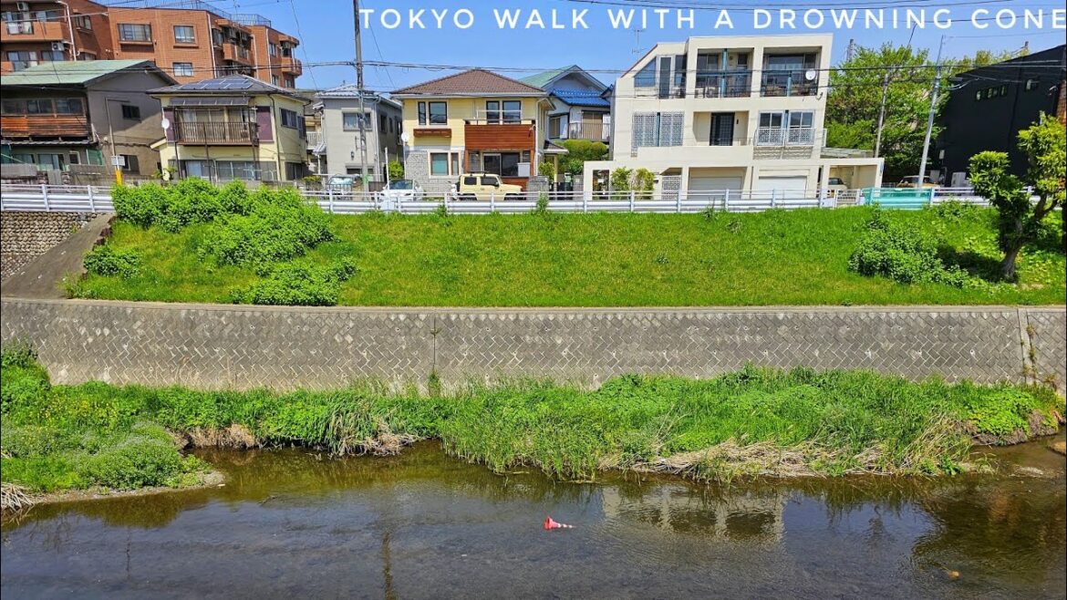 Tokyo - A Drowning Cone in Setagaya and a North Korean Missile Alarm