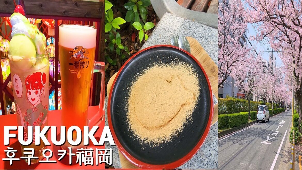 [여행vlog] 후쿠오카 여행 DAY.1 🌸 벚꽃축제/링고아메/후쿠오카타워/오호리공원/마이즈루공원/아베키 Fukuoka travel 福岡