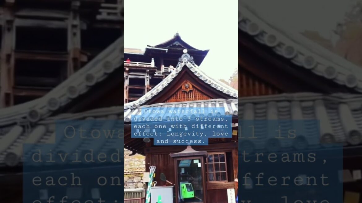 DON’T do this in Kyoto, Japan #travel #explore #japan #adventure #fyp #dontdothis #shorts