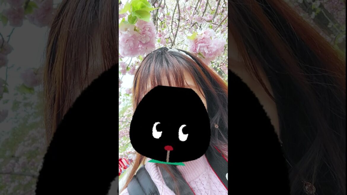 広島・五日市 造幣局 「花のまわりみち」八重桜 広島・五日市 造幣局 「花のまわりみち」八重桜