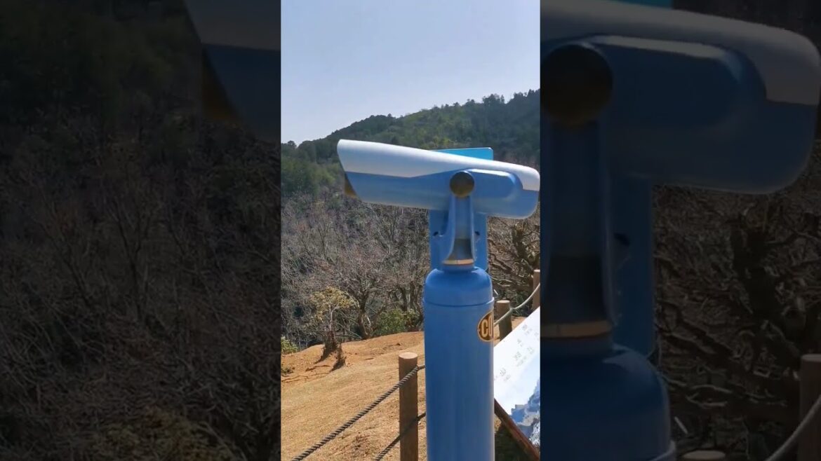 The best view in Kyoto #japan #short #shorts