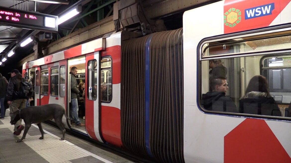 Wuppertal Monorail at night.