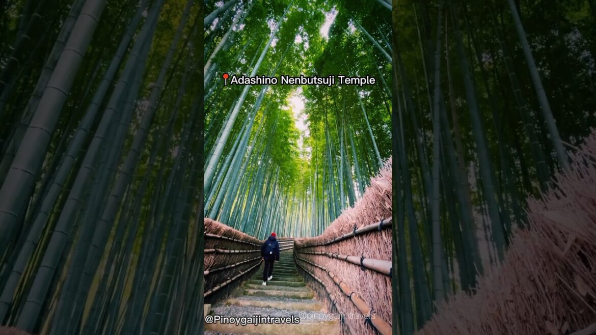 Top 3 Most Beautiful Places on Earth 🌎 #shorts #fyp #nature