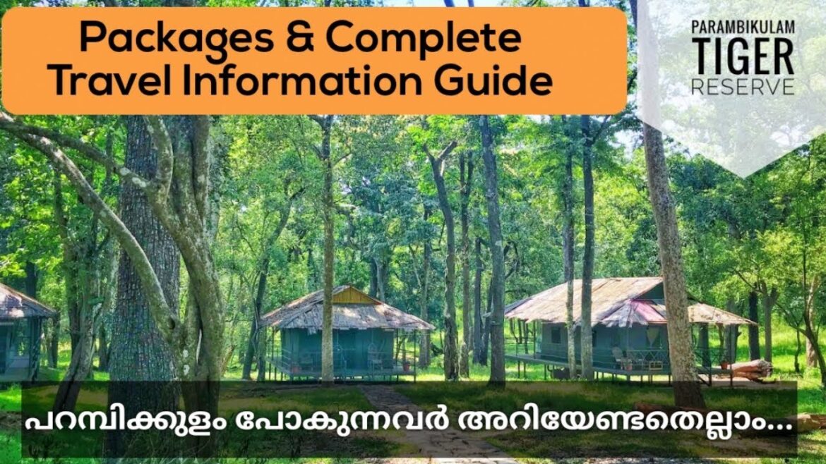 Parambikulam Tiger Reserve Packages and Complete Travel Information Guide