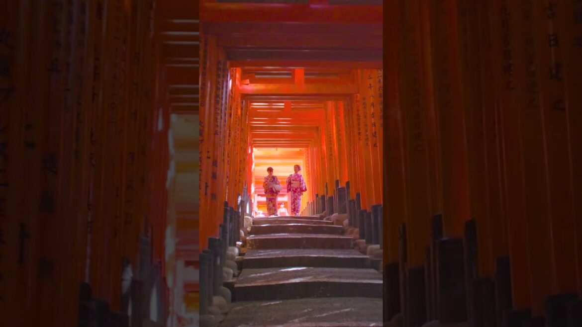 Walking through the Torii gate tunnel in Kyoto | Amazing Japan Travel Adventure Documentary Walking through the Torii gate tunnel in Kyoto | Amazing Japan Travel Adventure Documentary